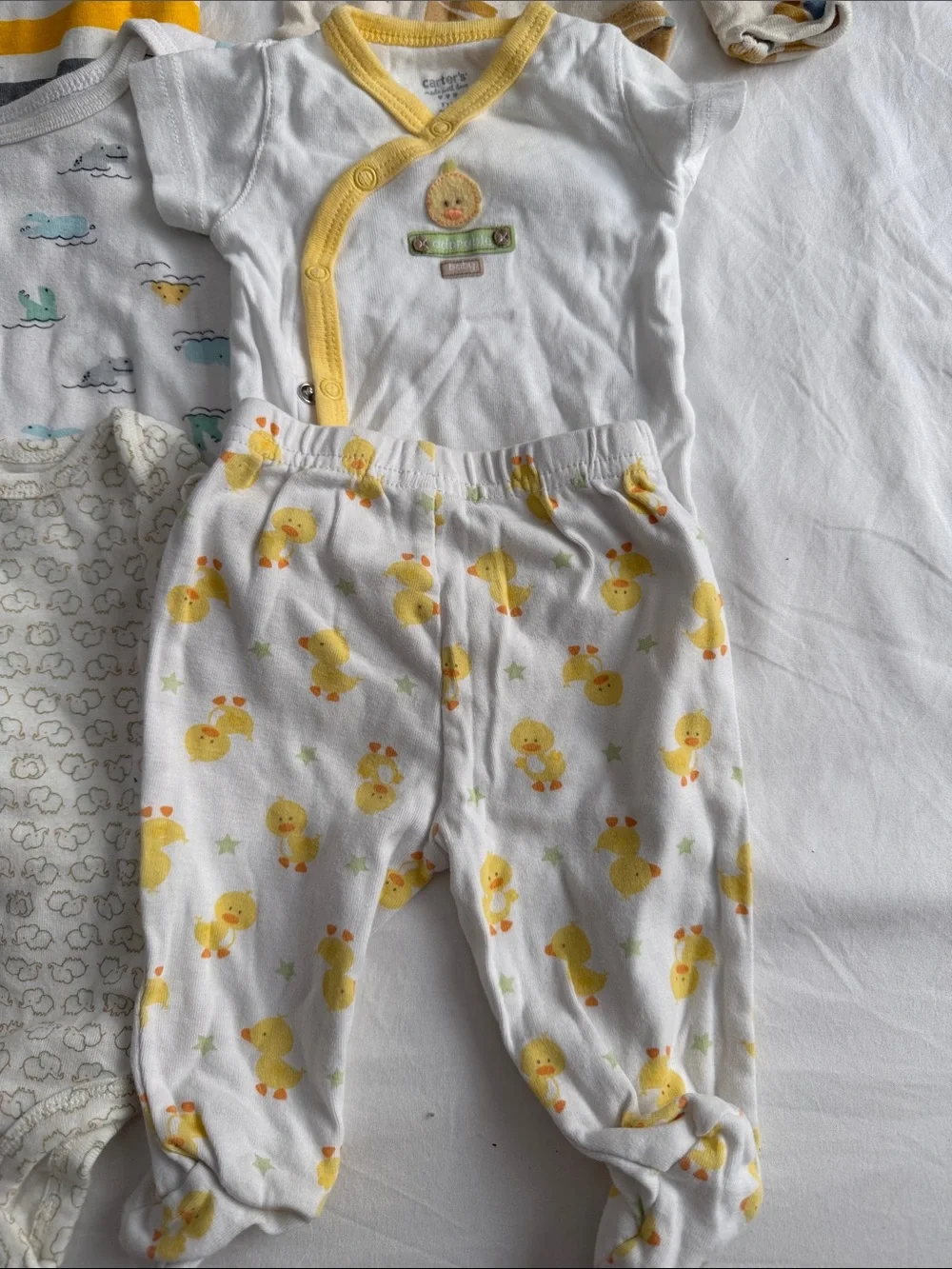 Carters check out